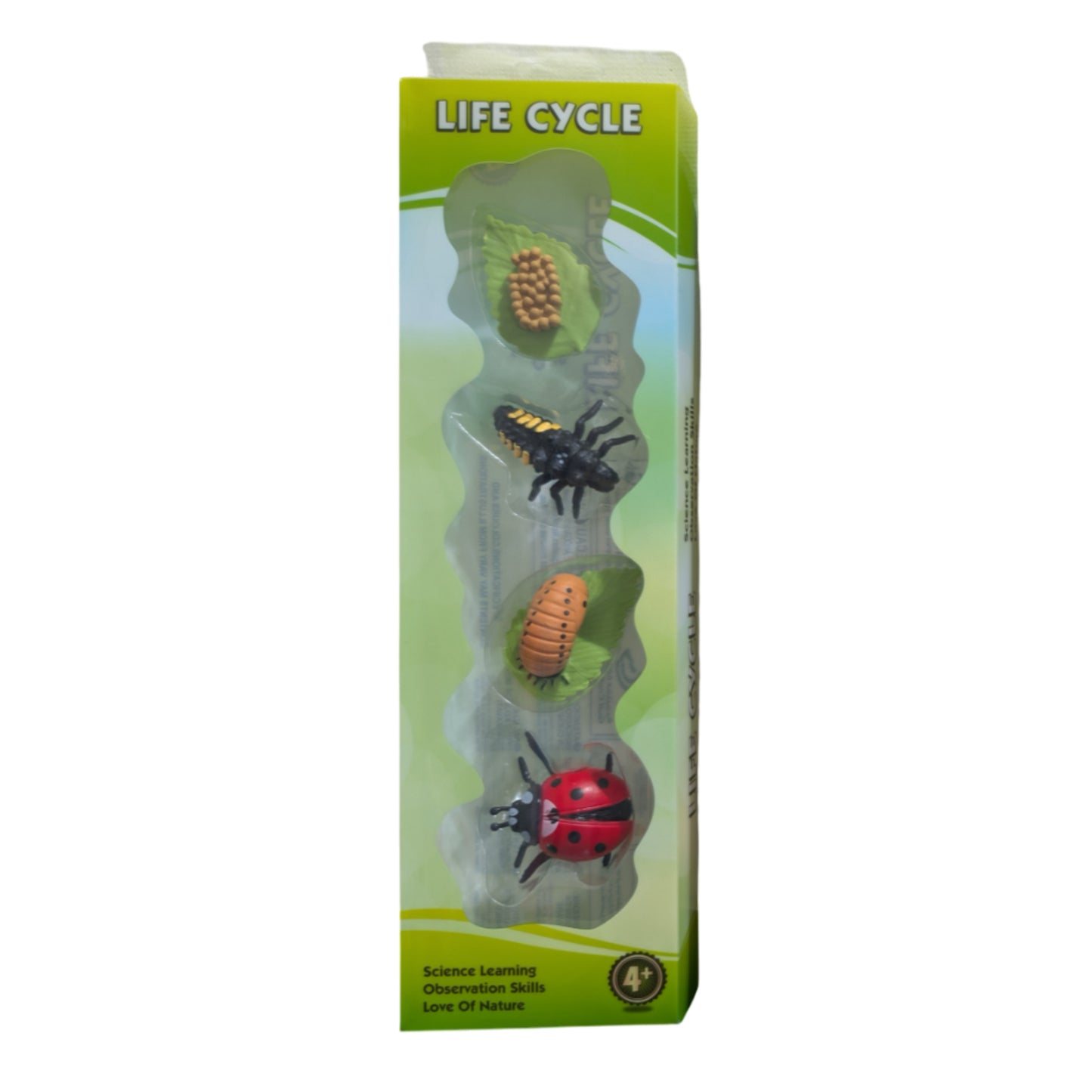 Life Cycle 4 Figure Set - Ladybug
