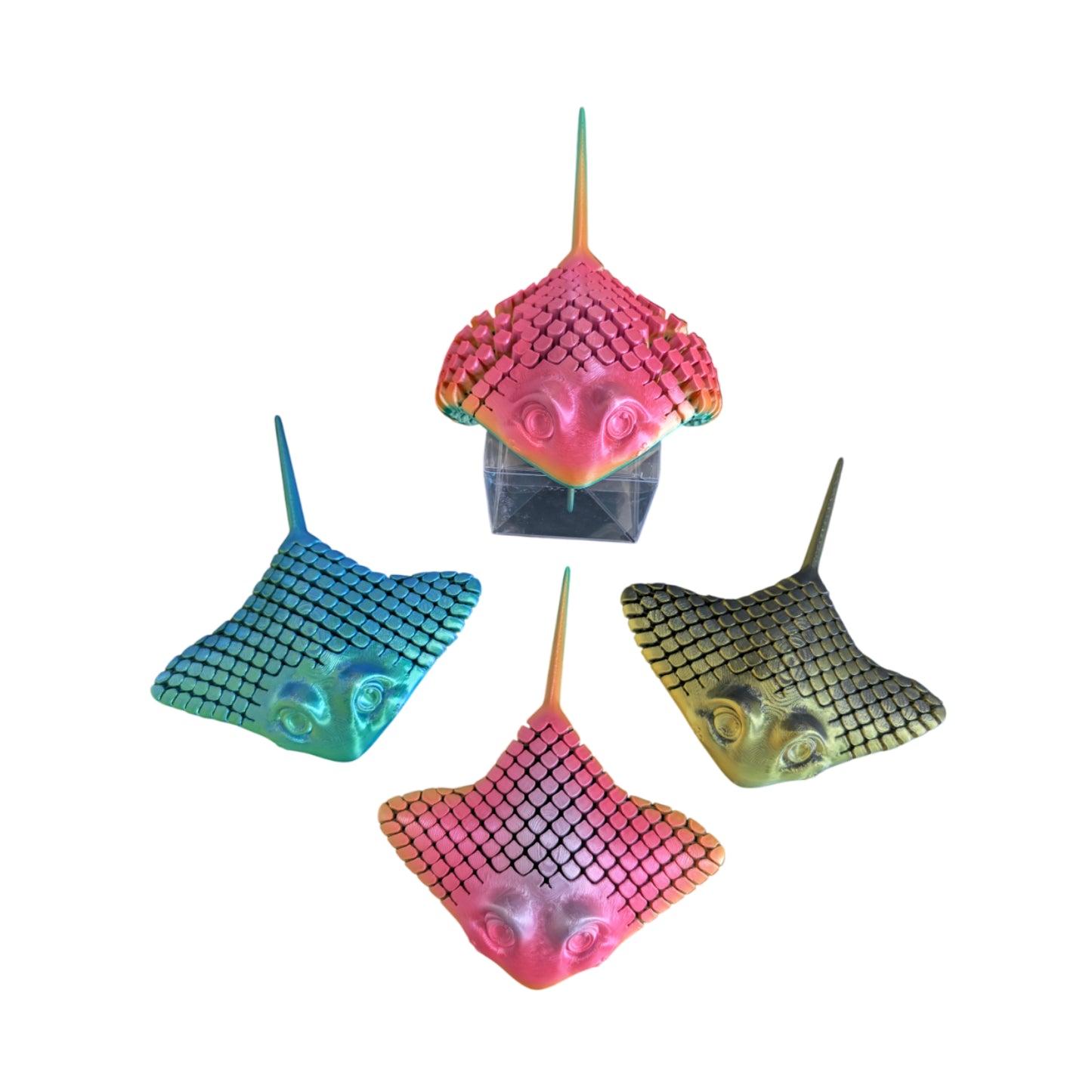 3D Printed StingRay - Assorted Colours