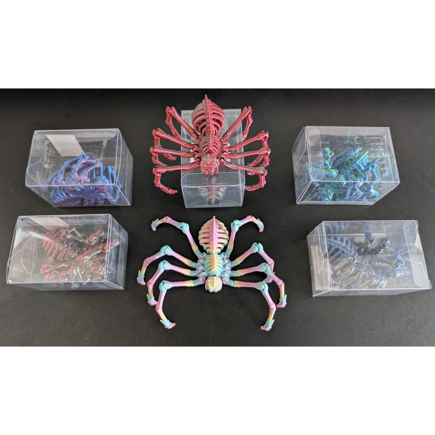 3D Printed Skeleton Spider - Assorted Colours
