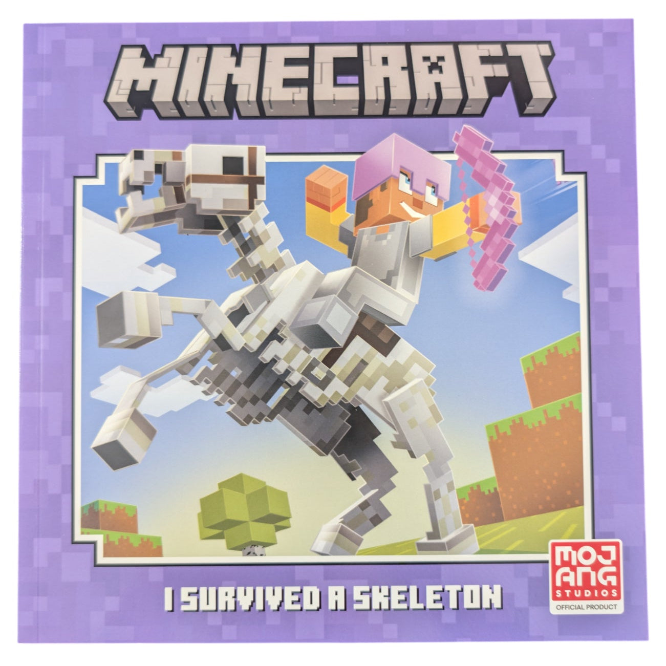 Minecraft Storybook - I Survived A Skeleton