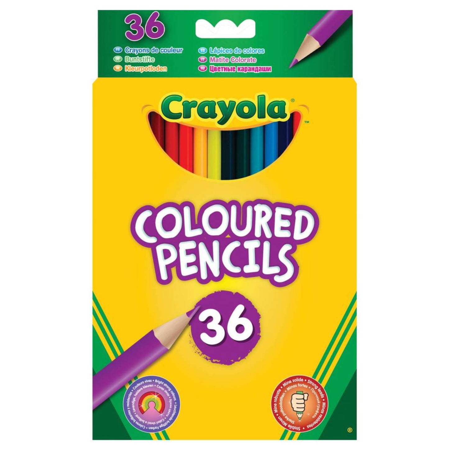 Crayola Coloured Pencils - 36