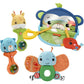 Fisher Price Hello Senses Play Kit