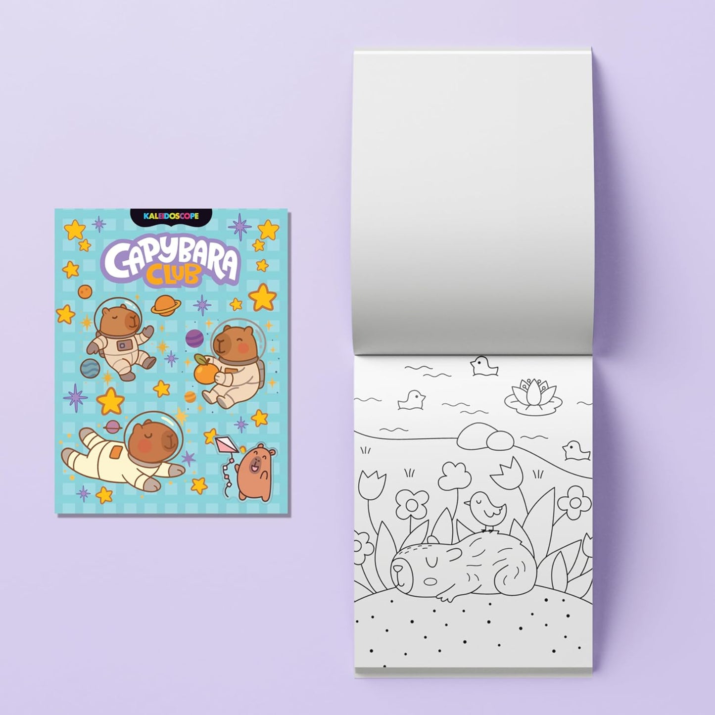 Capybara Club Colouring Kit