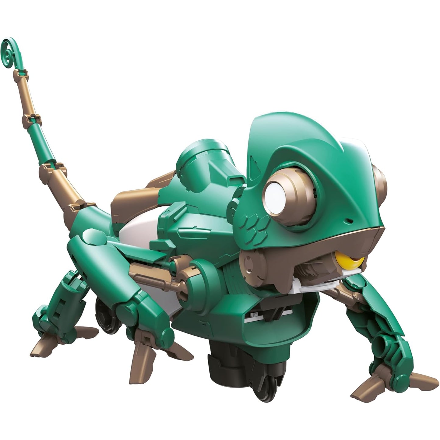 Codee the Chameleon
