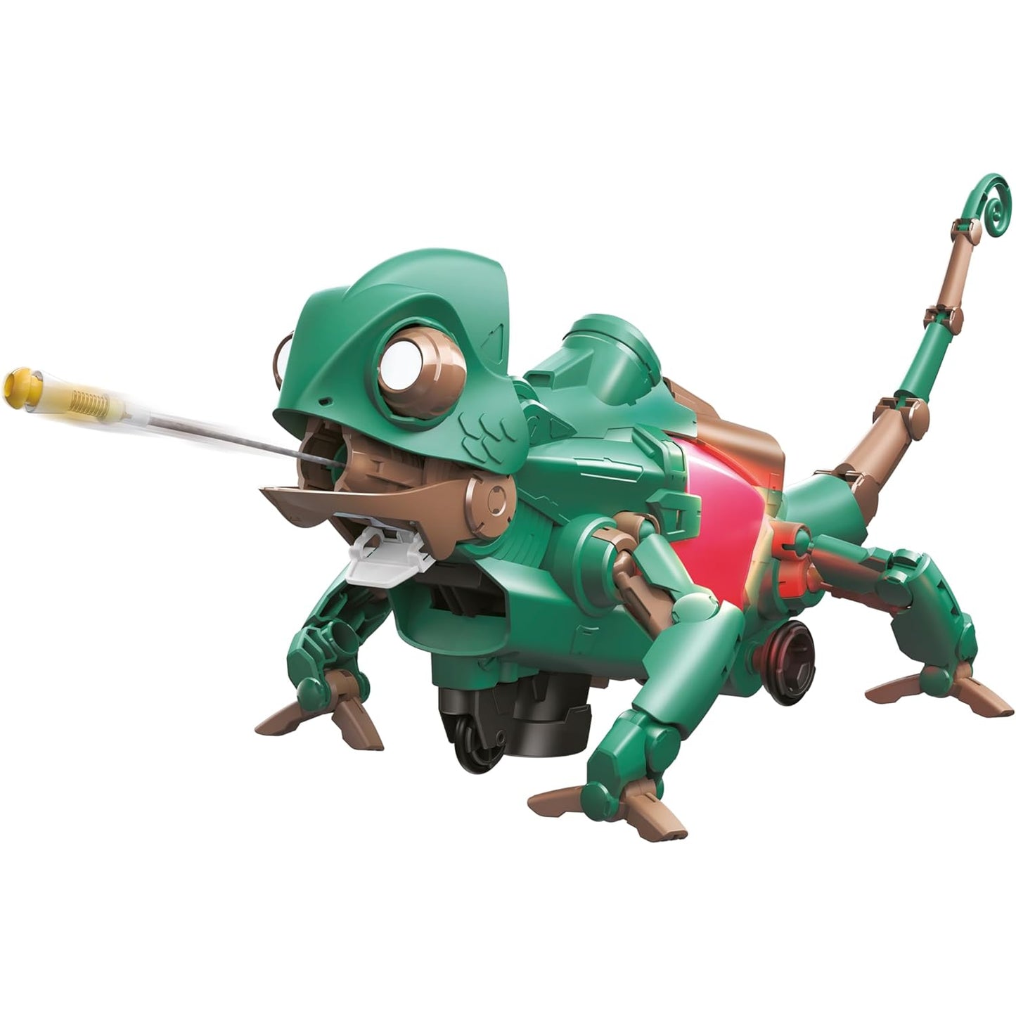 Codee the Chameleon