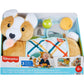 Fisher Price 3 in 1 Puppy Time