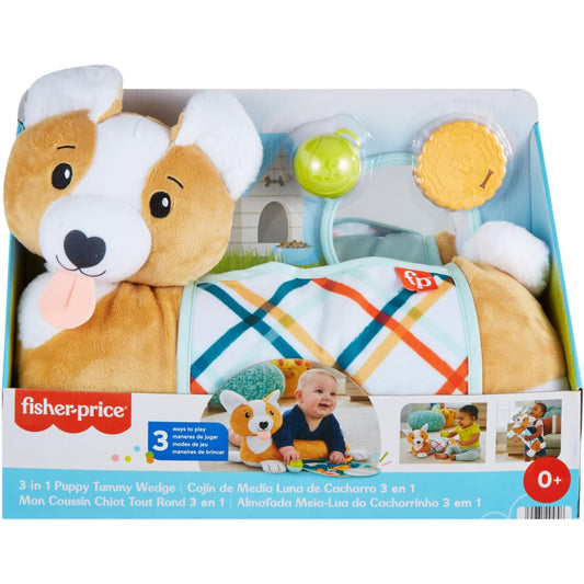 Fisher Price 3 in 1 Puppy Time
