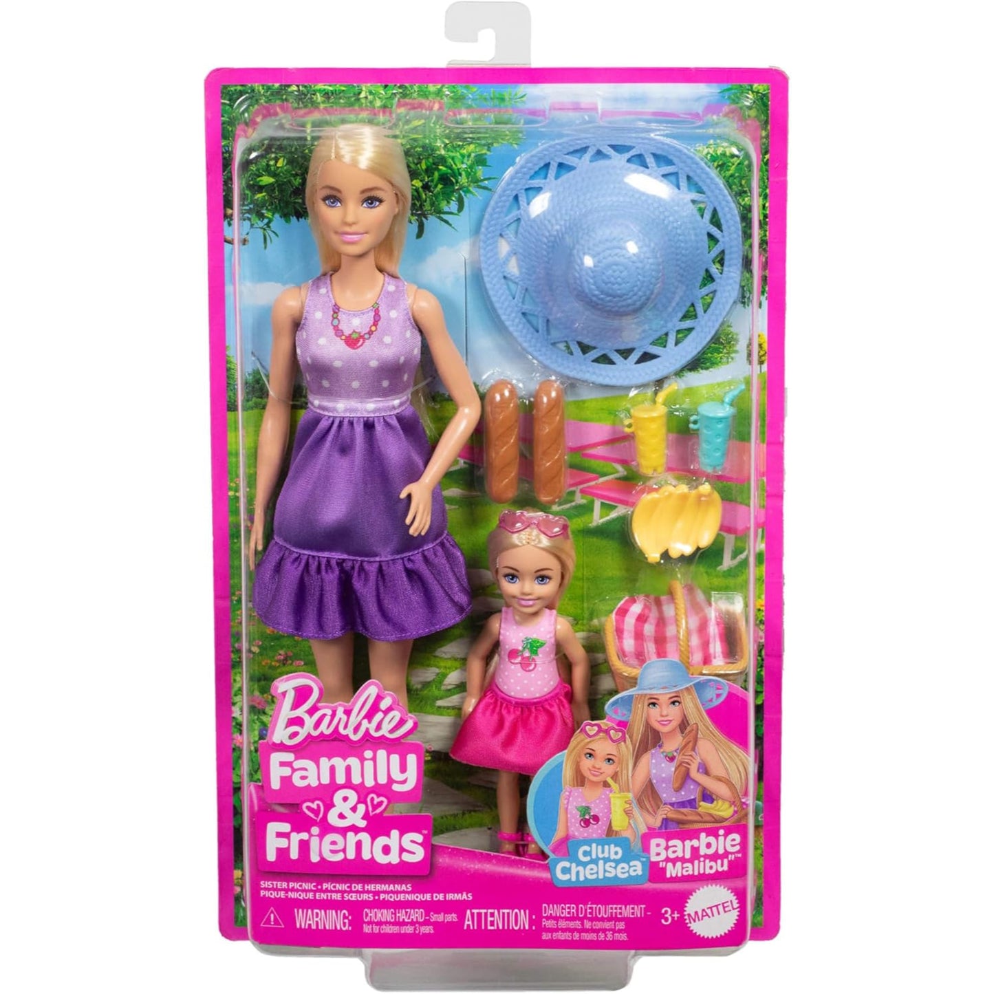 Barbie Family & Friends Sisters Picnic