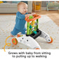 Fisher-Price 2 Sided Steady Speed Panda Walker