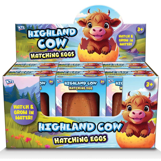 Highland Cow - Growing Egg