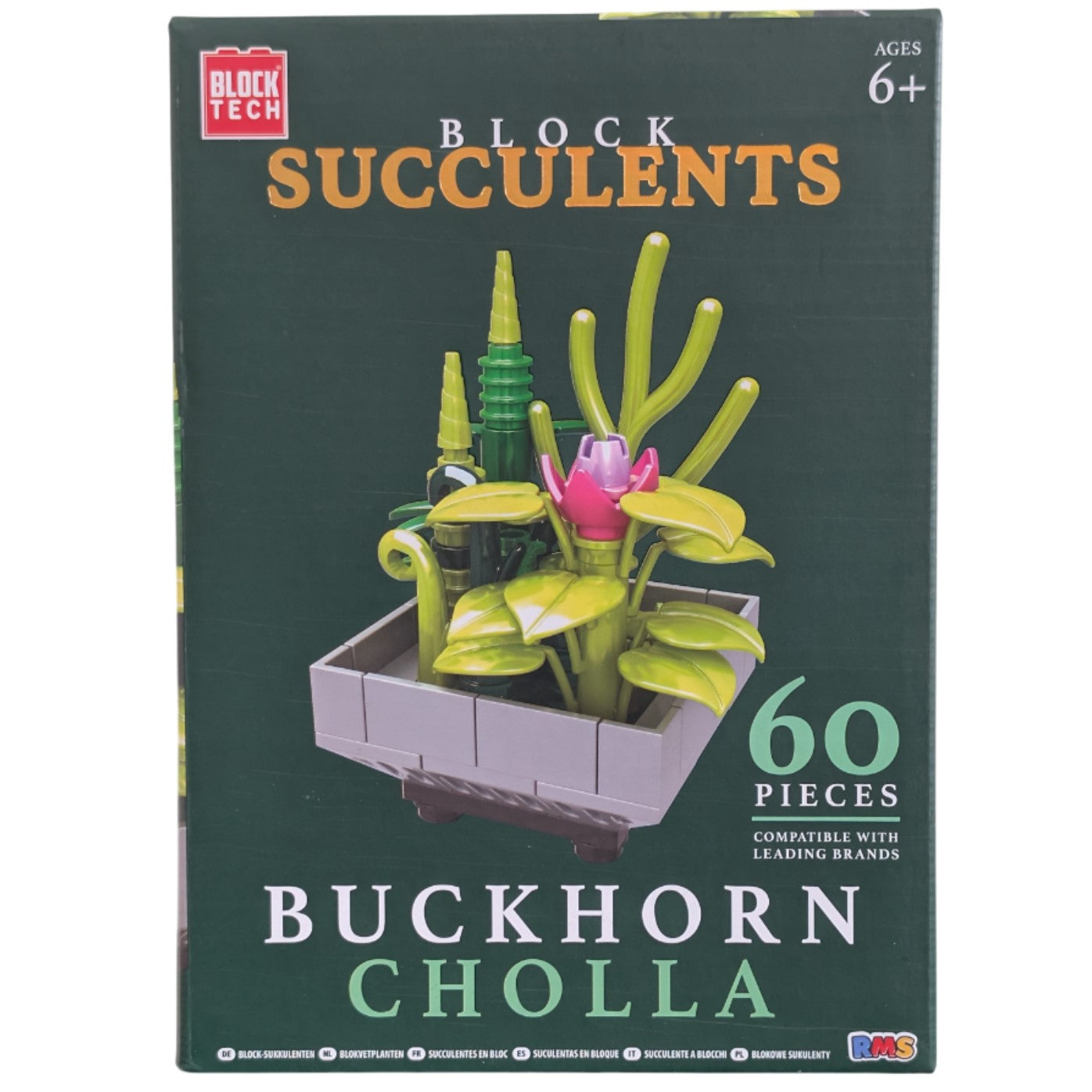 Block Tech Succulents - Buckhorn Cholla