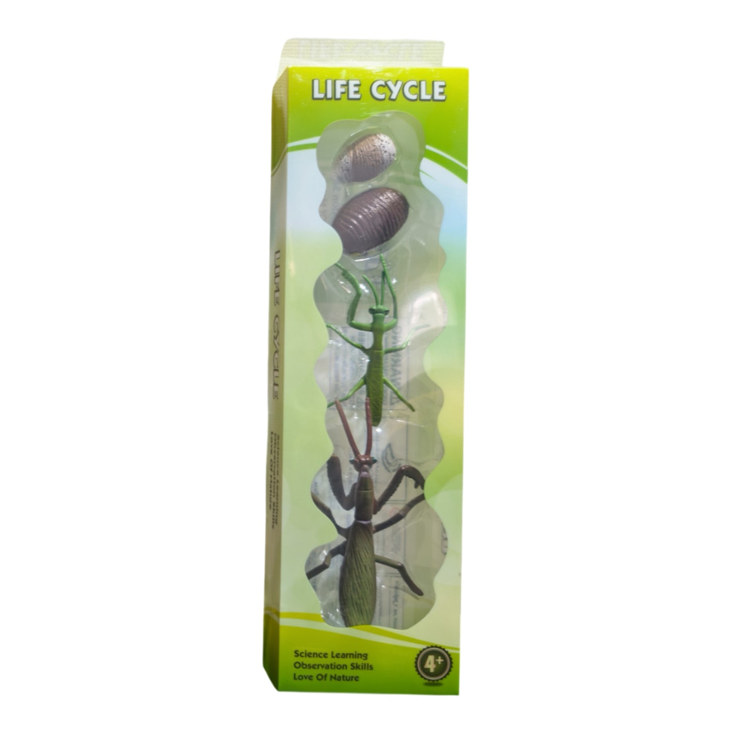 Life Cycle 4 Figure Set - Mantis