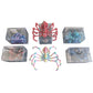 3D Printed Skeleton Spider - Assorted Colours