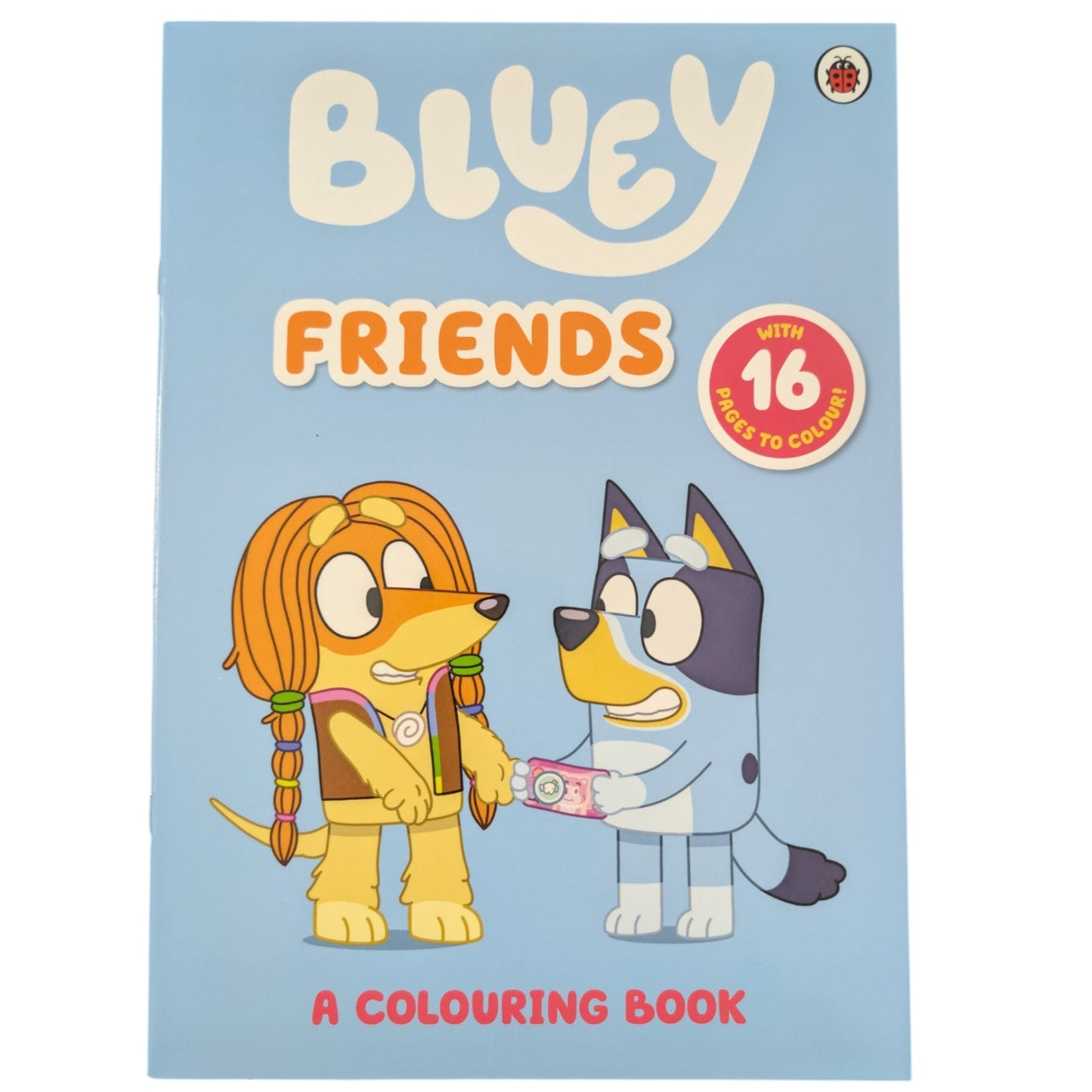 Bluey Friends Colouring Book