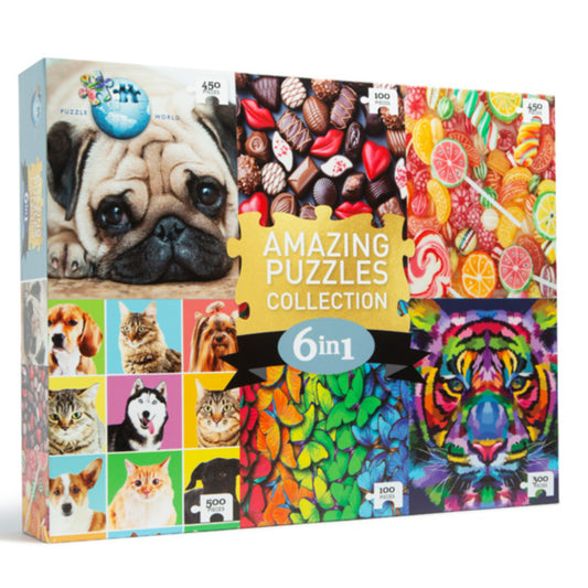 Amazing Puzzles Collection 6 in 1