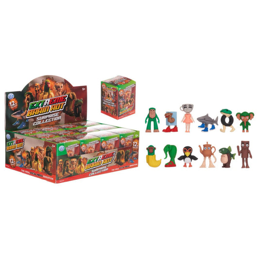 Brainrot Surprise Figure Blind Box