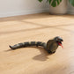 RC Snake